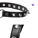 Coleira de Couro Com Rebites Metálicos