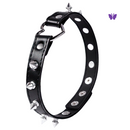 Coleira de Couro Com Rebites Metálicos