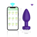 Plug Anal Vibratório Por Aplicativo YouVibe